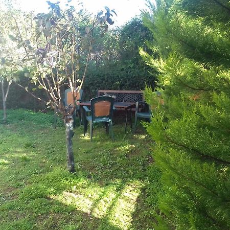 Christinas Garden Apartment Patras Exterior photo
