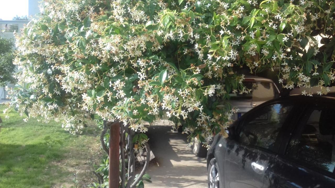 Christinas Garden Apartment Patras Exterior photo